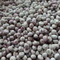 /msite/products/detail/productid/57631221/id/677584.html